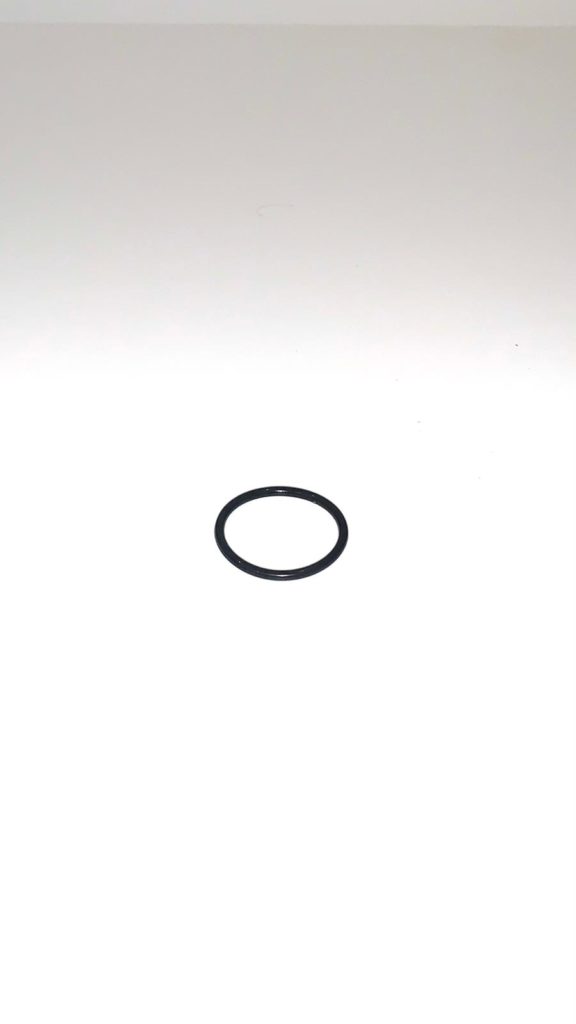 O-ring uitlaatventiel (10 stuks)